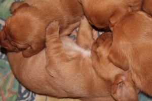 Mamma My Nuusku äiti