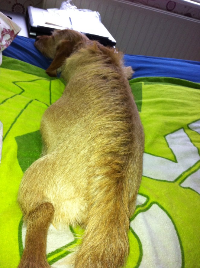 Allt väl! Kaikki hyvin!