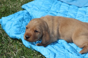 Morsdags utflykt 033