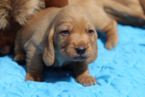 Morsdags utflykt 047