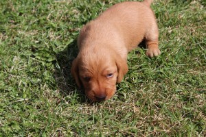 Jag vågar gå lite längre Minä uskallan lähteä vähän kauemmas