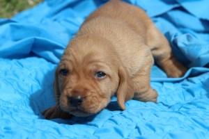 Bäst att hålla låg profil ;) On parasta pitää matalaa profiilia ;)