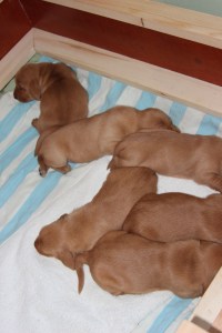 Huh! Skönt att vara tillbaka i trygghet! Huh! on mukava olla takaisin turvassa!