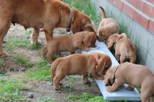 Mamma kommer och reder upp. Mamma tulee tarkistamaan.