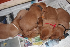 Nu ska ni lättare börja känna igen oss! Tästä lähtien teillä on helpompi tunnistaa meitä.