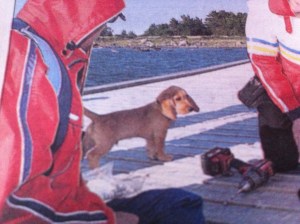 Elvis på Gåshällan