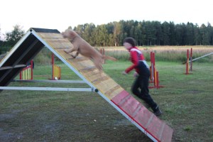 Mamma My på A Nuusku äiti A:lla