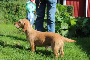 My cert 2 storkyro 001