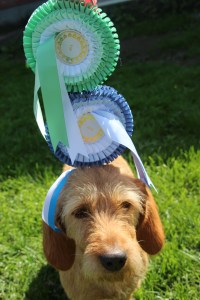 My cert 2 storkyro 005