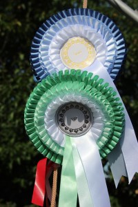 My cert 2 storkyro 006