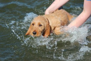 Smilla 3 månader 014