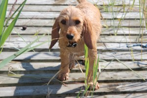 Smilla 3 månader 025