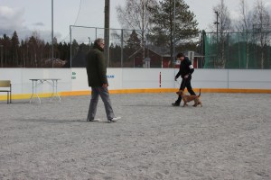 Smilla på sin första utställning Smilla eka näyttelyssä