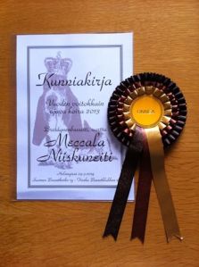 Årets mest framgångsrika drivande basset. Vuoden voitokkain ajava basset