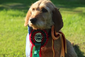 Storå utställning 009