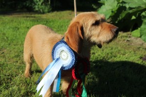 Storå utställning 015