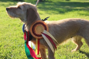 Storå utställning 020