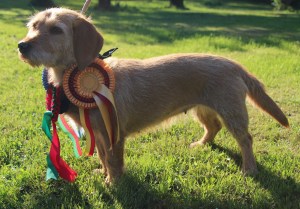 Storå utställning 023 My