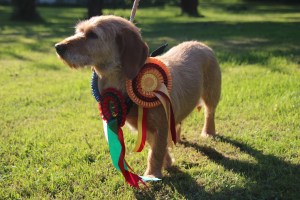 Storå utställning 029