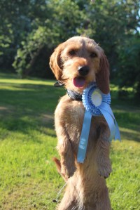 Storå utställning Smilla