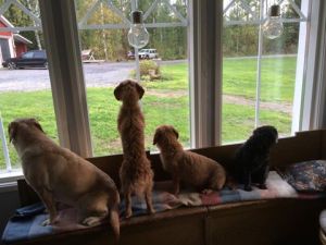 På hotellet med Molly, jag, mamma My, Tilde