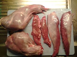 Elvis harfilér / filéet Patric Forsström