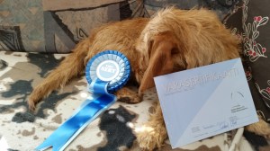 Smilla SA Tohmajärvi