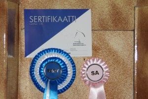 Tuiskupolun Smillas certifikat 6.6.2015