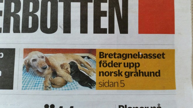 2015-06-25 11.33.37.jpg image