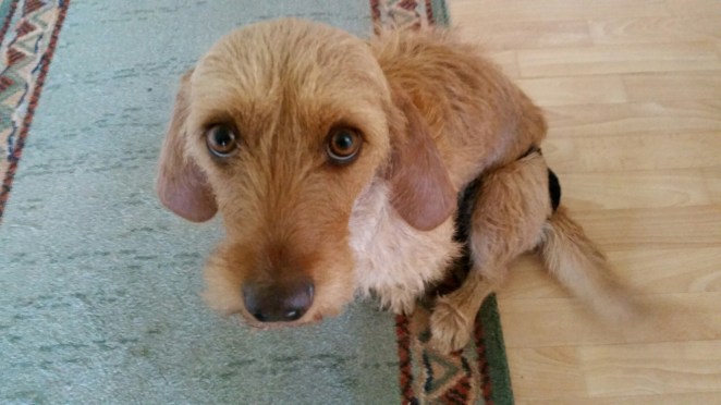 20150617_120948.jpg image