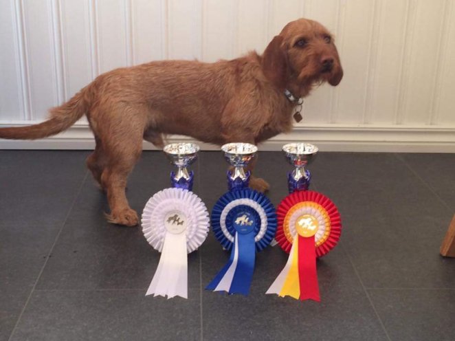 Tuiskupolun Vikkelä-Sulo