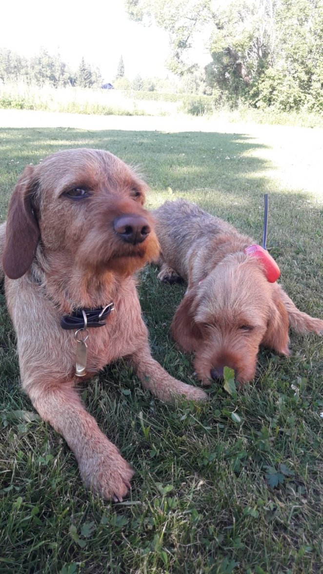 Tuiskupolun Sulo & Tuiskupolun Eino